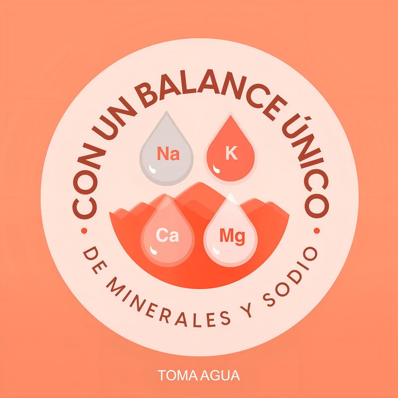 Agua Natural Bonafont 6l - Eurotruck Mexico