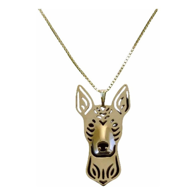 Collar Xoloitzcuintle Xolo Perro Color Dorado Mexico 5 Pzs